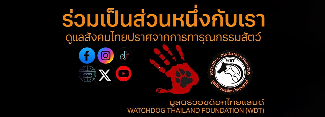 healthy-pets-for-stray-animals-6 HIP Biotech ร่วมกับมูลนิธิวอชด็อก ไทยแลนด์ เพื่อสัตว์ไร้บ้านมีสุขภาพดี