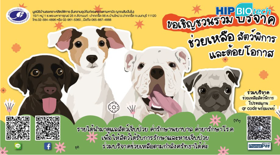 hip-biotech-csr-home-for-disabled-animals-8