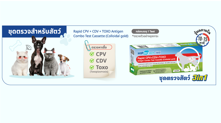 HIP Biotech ร่วมกับ มูลนิธิบ้านสงเคราะห์สัตว์พิการ เพื่อสัตว์ไร้บ้านมีสุขภาพดี HIP Biotech ร่วมกับ มูลนิธิบ้านสงเคราะห์สัตว์พิการ เพื่อสัตว์ไร้บ้านมีสุขภาพดี
