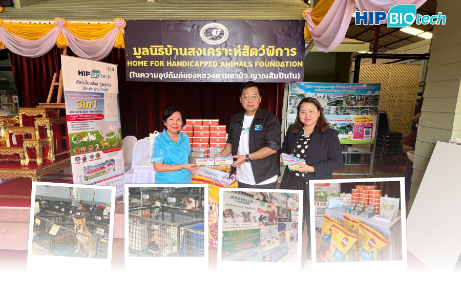 HIP Biotech ร่วมกับ มูลนิธิบ้านสงเคราะห์สัตว์พิการ เพื่อสัตว์ไร้บ้านมีสุขภาพดี